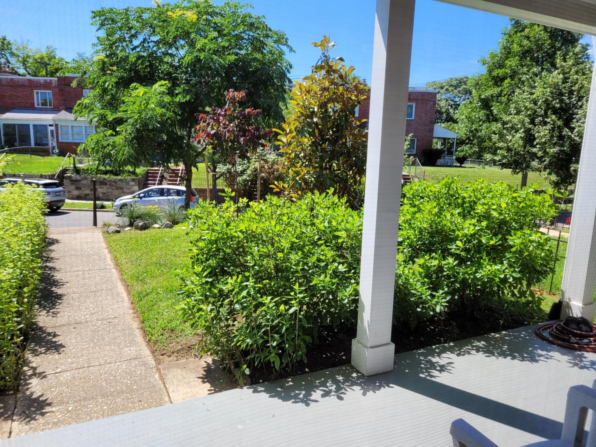 Capitol Hill Adj With Parking And Easy Access To Downtown Hébergement de vacances *